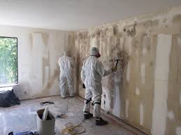 Best Mold Damage Restoration  in Ponderosa Pine, NM